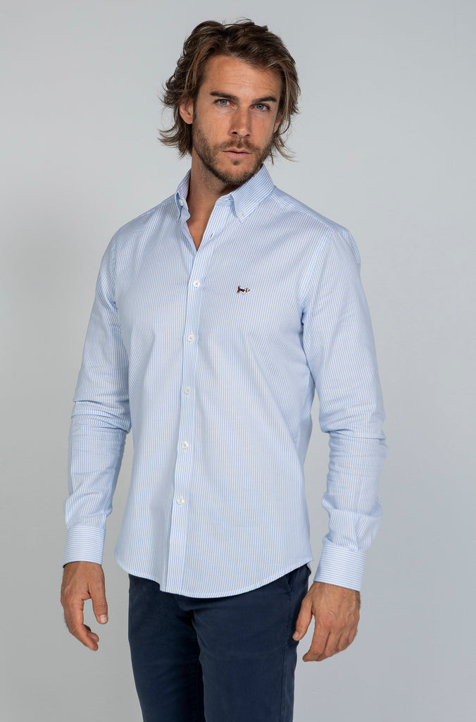 Camisa Pinpoint Raya Kodak Celeste