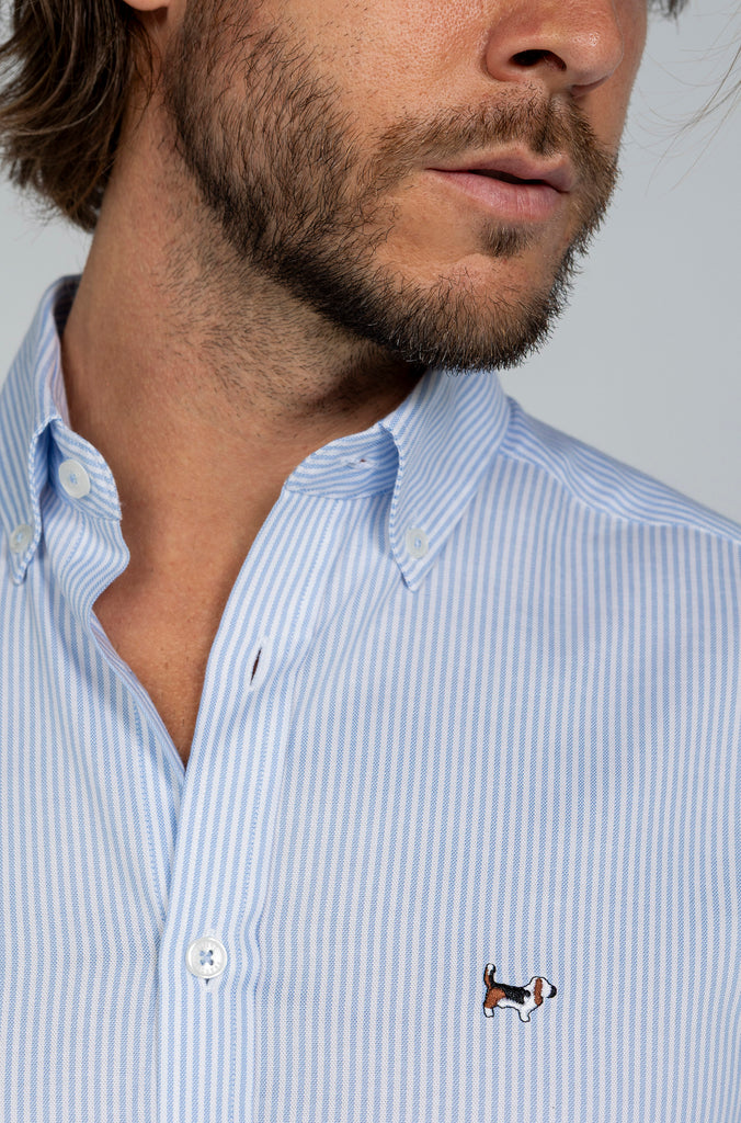 Camisa Pinpoint Raya Kodak Celeste