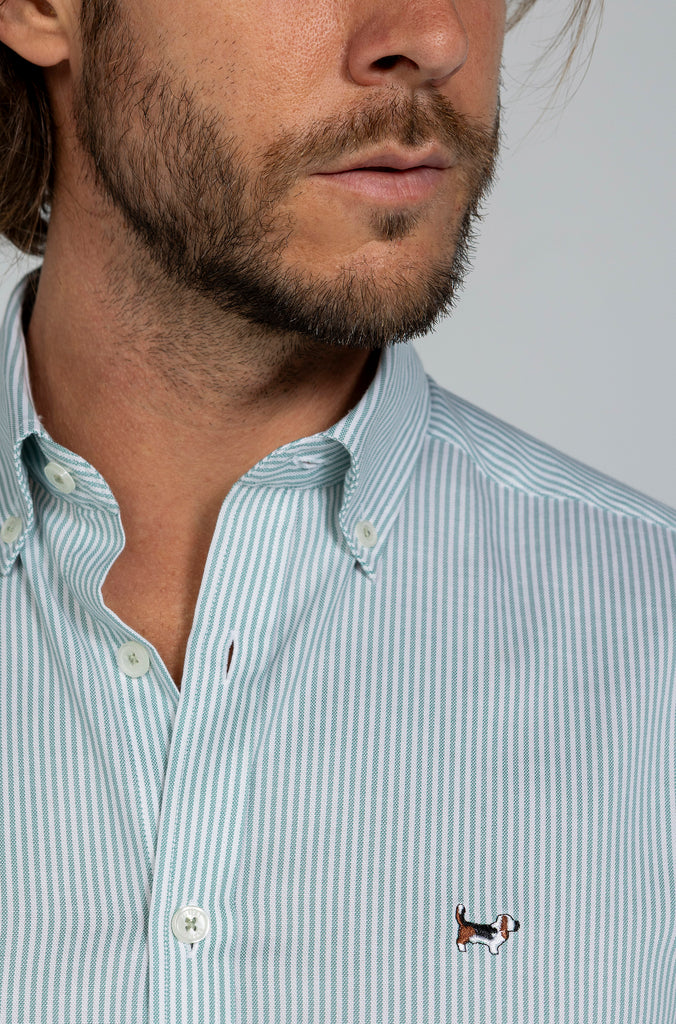 Camisa Pinpoint Raya Kodak Verde