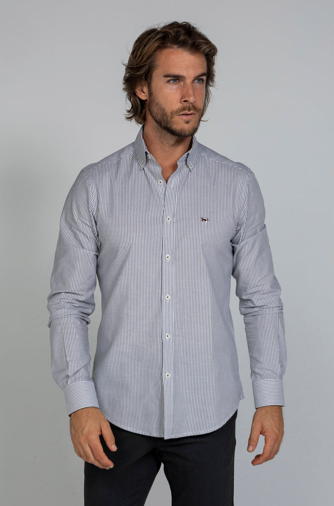 Camisa Pinpoint Raya Kodak Gris