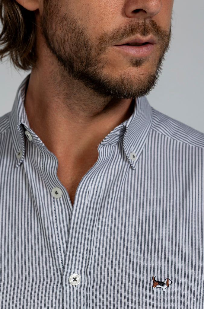 Camisa Pinpoint Raya Kodak Gris