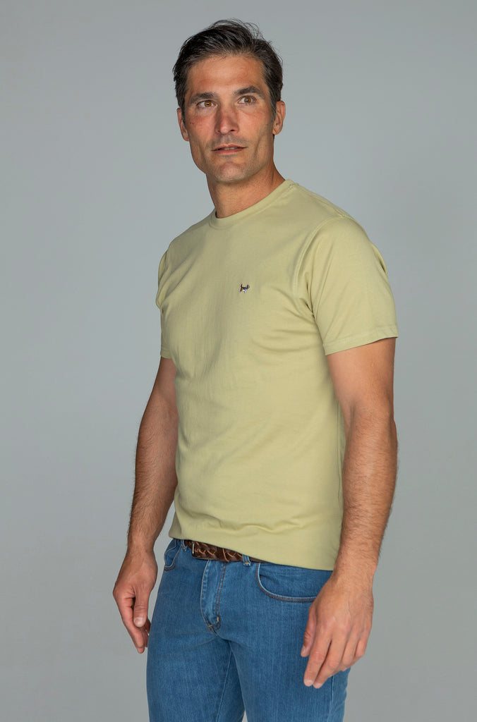 Camiseta Básica Brandon Jade