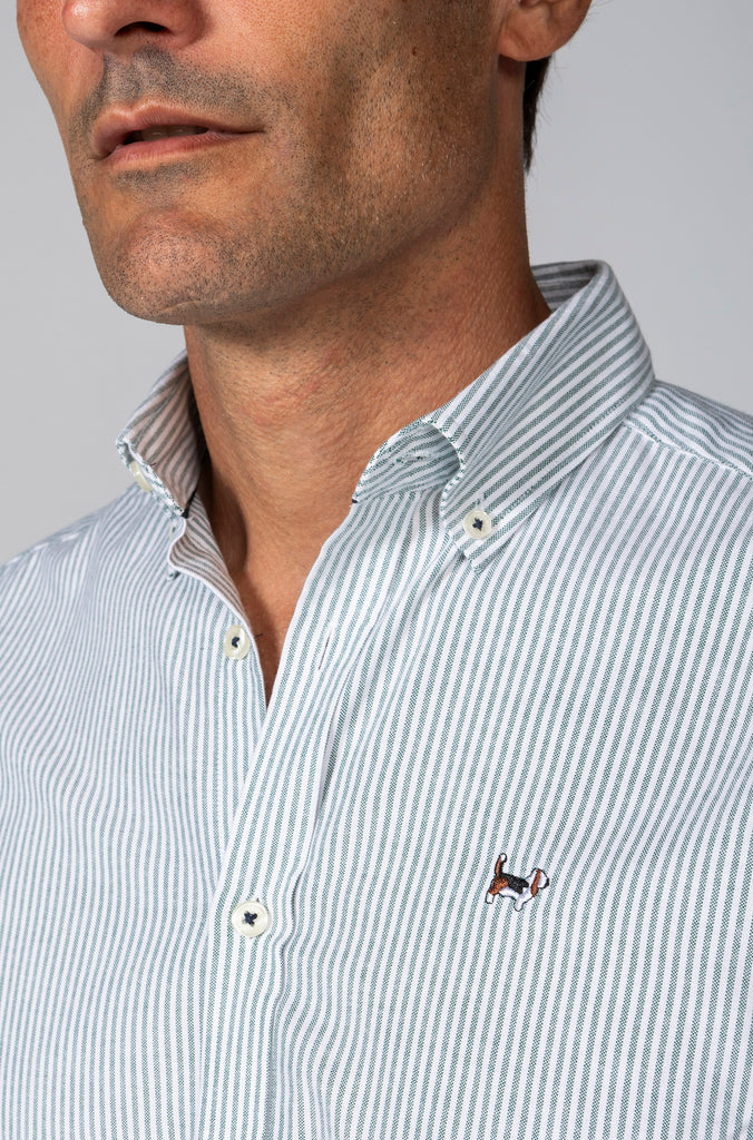 Camisa Oxford Raya Verde Menta