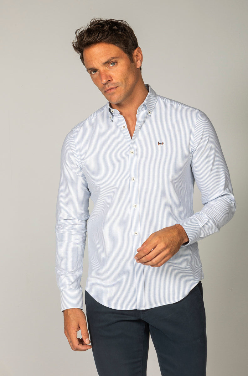 Camisa Oxford Rayas Azul Petróleo en Albert Brandon