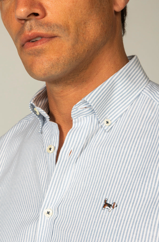 Camisa Oxford Rayas Azul Petróleo