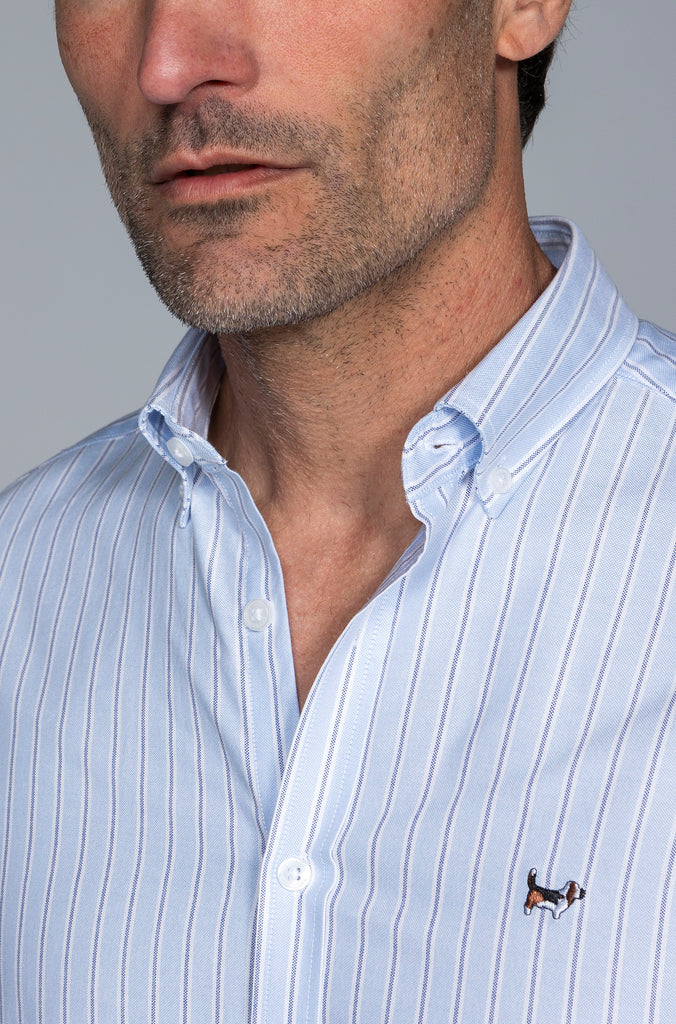 Camisa Oxford Rayas Azules