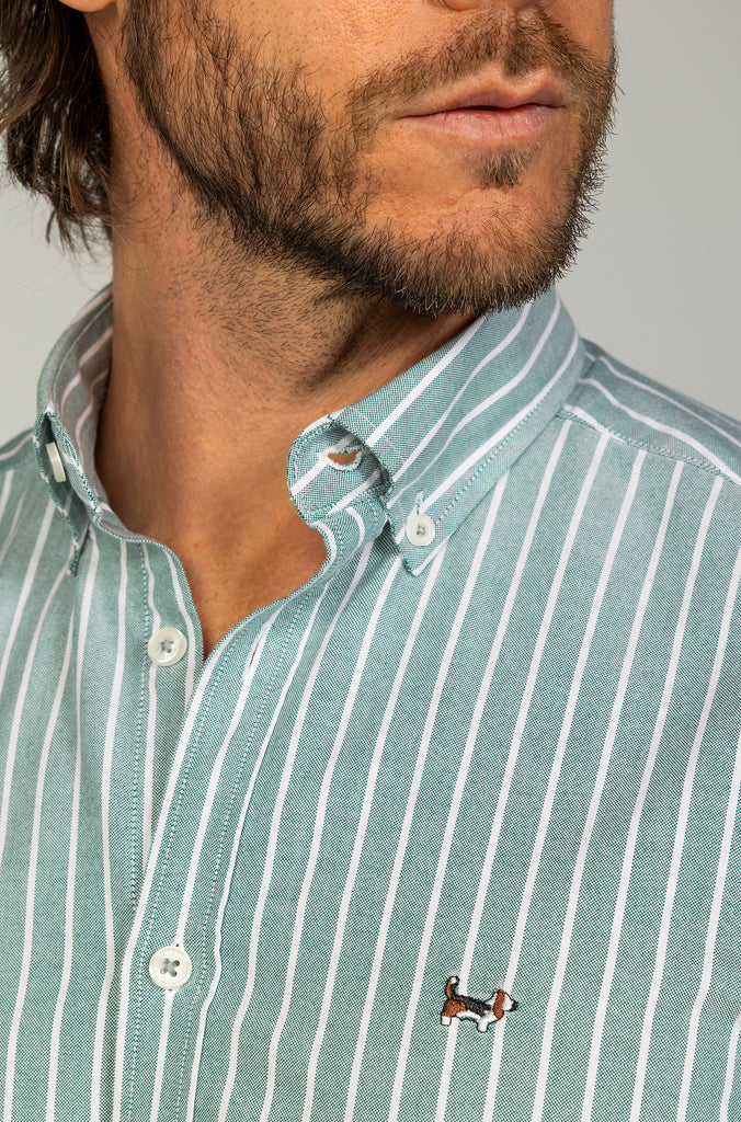 Camisa Oxford Raya Media Verde