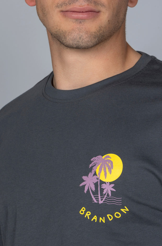 Camiseta Rivera Gris Plomo