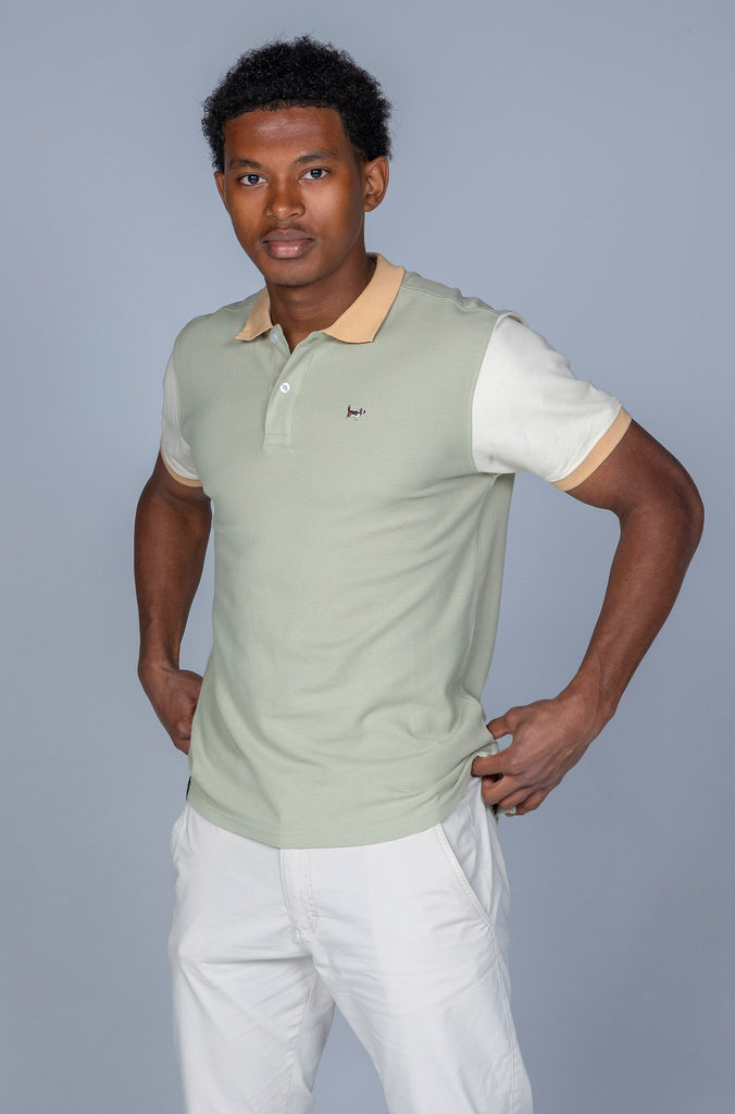 Polo Wild Bicolor