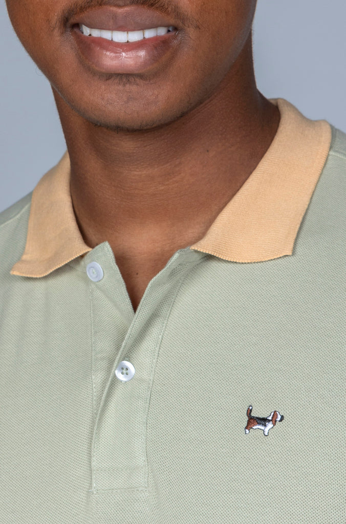 Polo Wild Bicolor