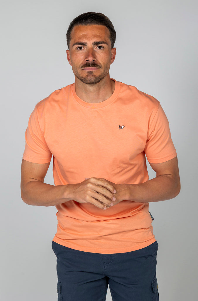 Camiseta Básica Brandon Naranja