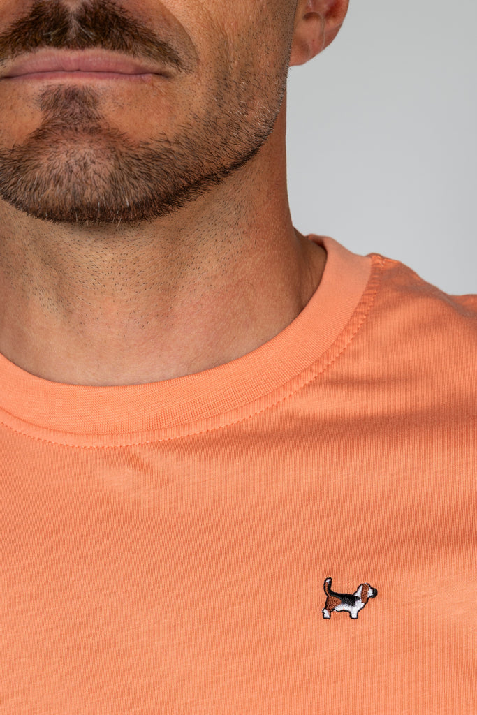 Camiseta Básica Brandon Naranja