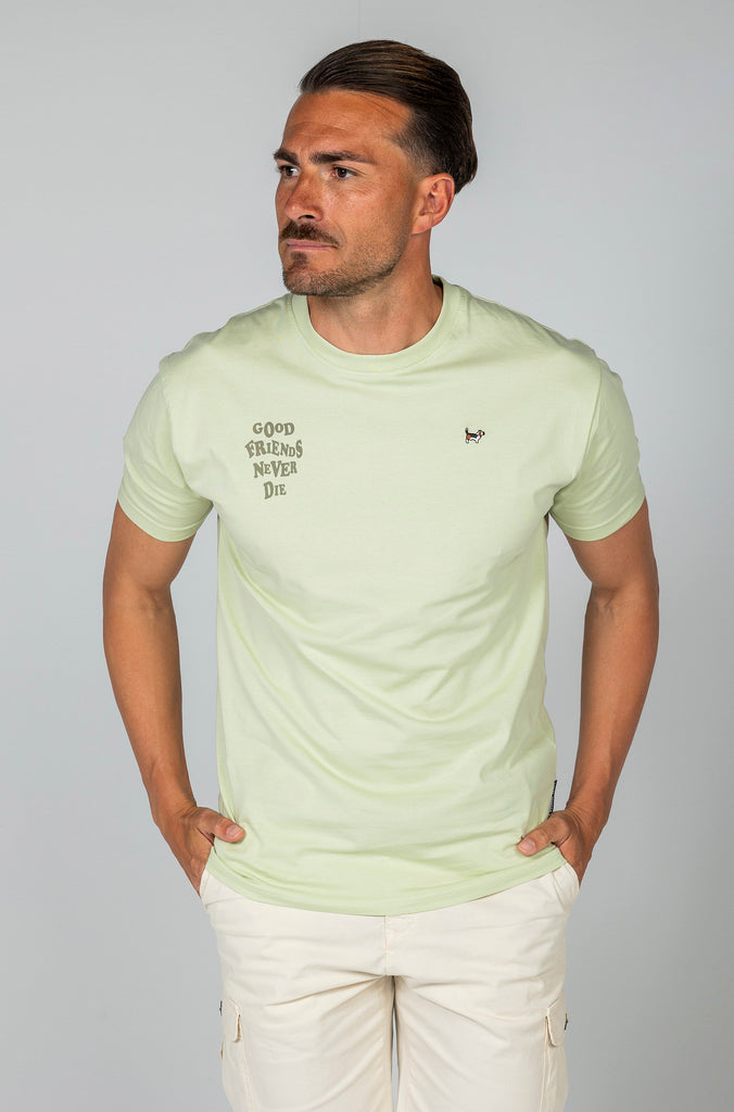 Camiseta Brandon Friends Verde Soft