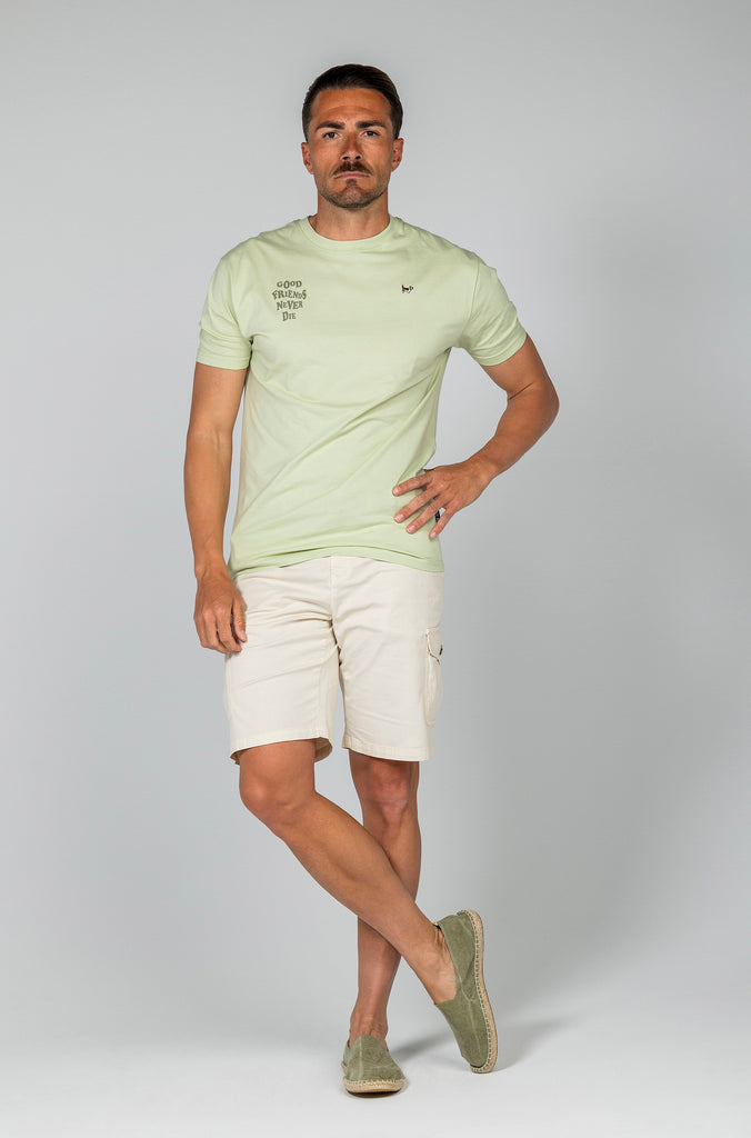 Camiseta Brandon Friends Verde Soft