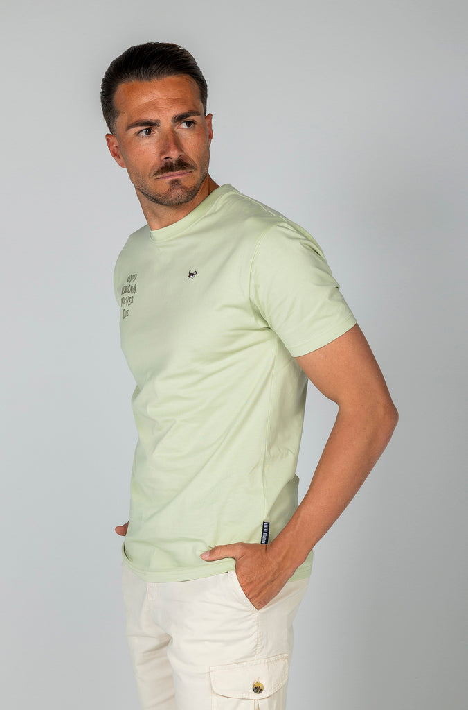 Camiseta Brandon Friends Verde Soft