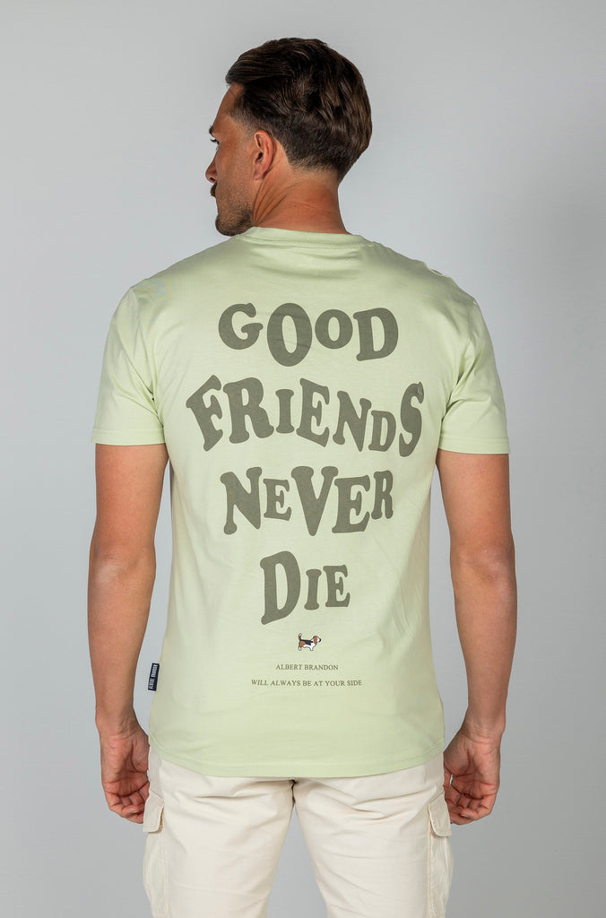 Camiseta Brandon Friends Verde Soft