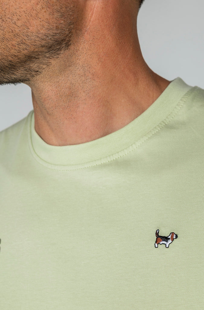 Camiseta Brandon Friends Verde Soft
