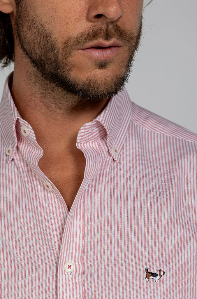 Camisa Pinpoint Raya Kodak Rosa
