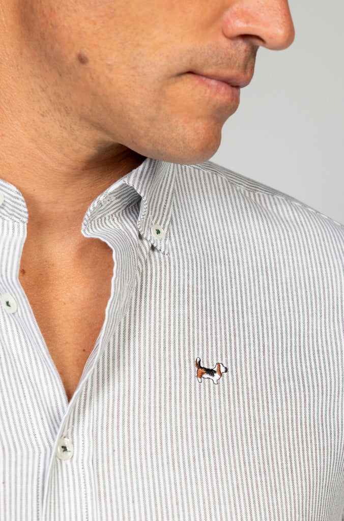 Camisa Multiraya Oxford Suavizada Marrón/Verde
