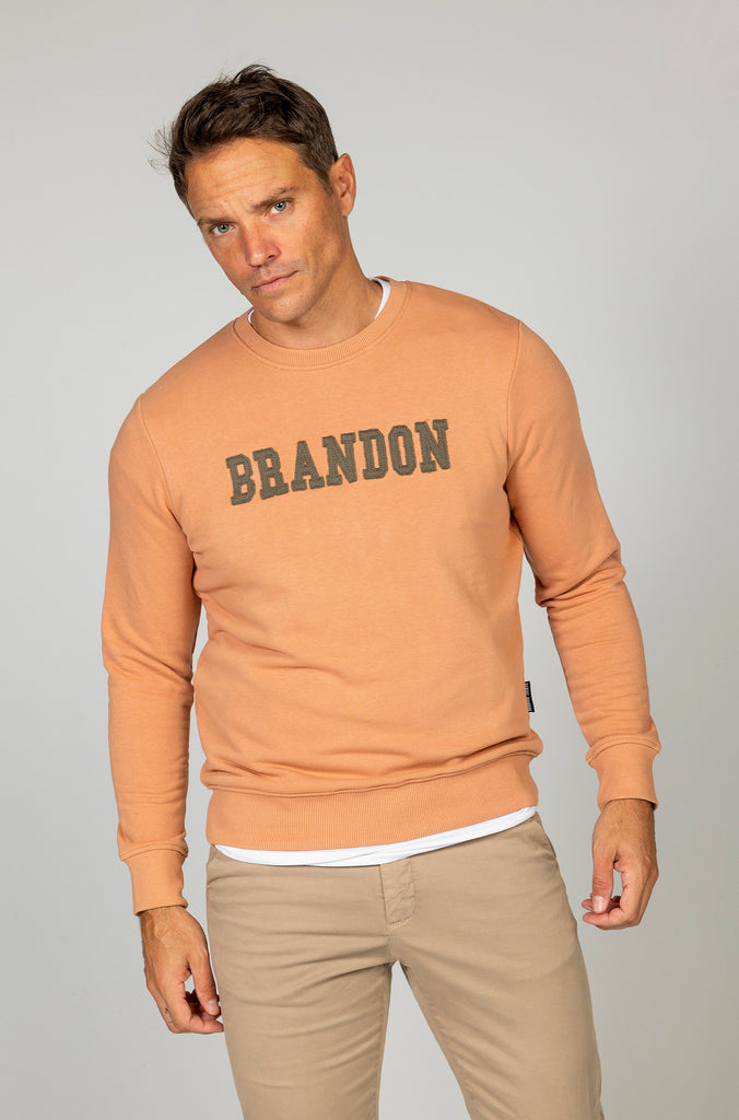 Sudadera Brandon letras relieve naranja bajo