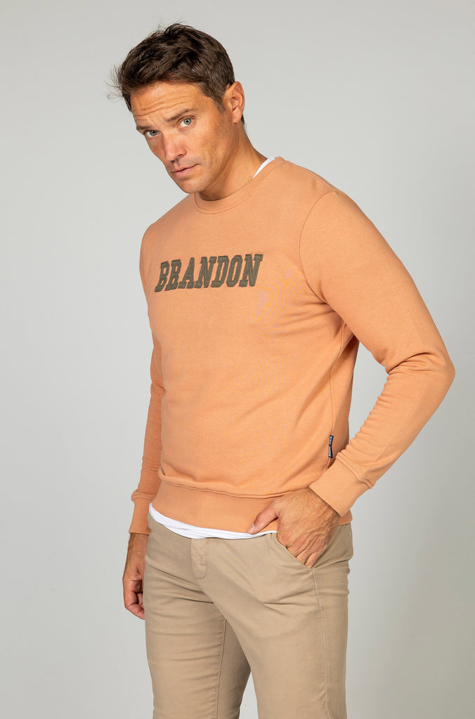 Sudadera Brandon letras relieve naranja bajo