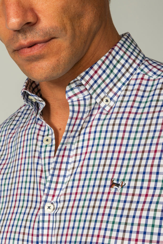 Camisa Pinpoint Cuadro Color