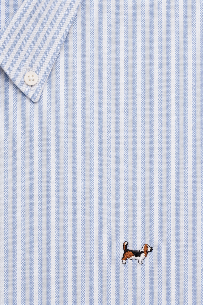 Camisa Raya Oxford Suavizada Celeste.