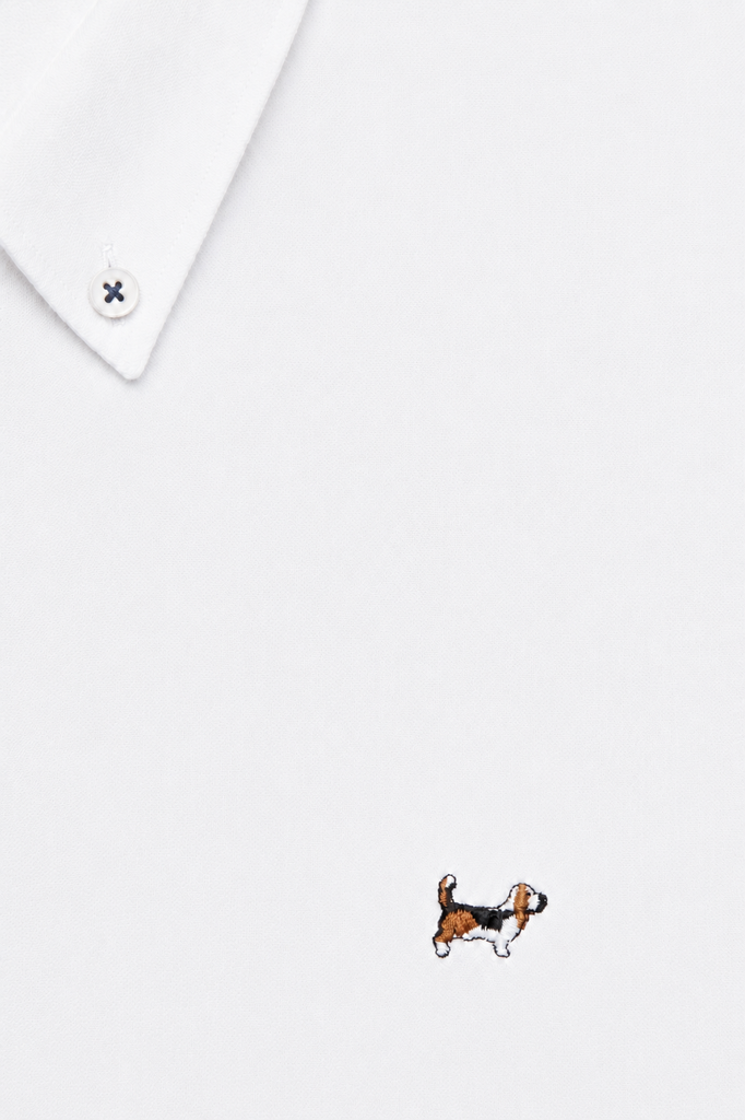Camisa Oxford Liso Blanco