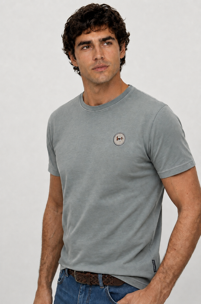 Camiseta desgastada brandon creative gris claro