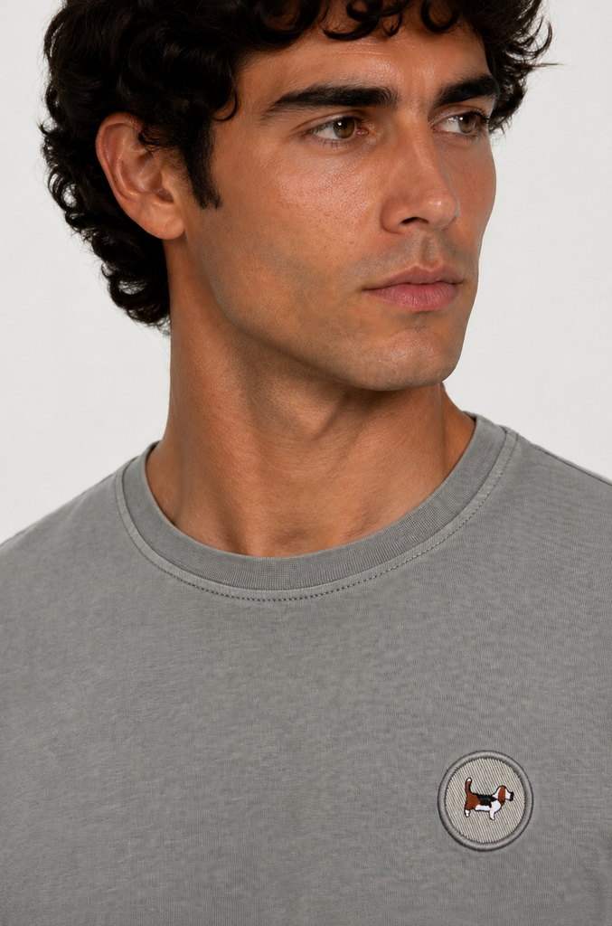 Camiseta desgastada brandon creative gris claro