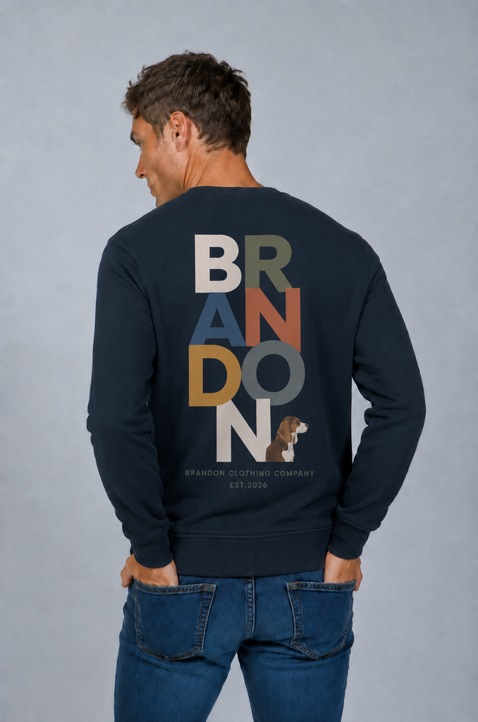 Sudadera Brandon colours marino